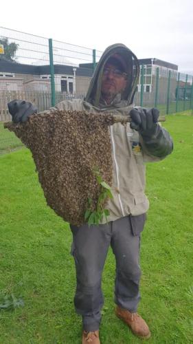 Bee swarm removal 